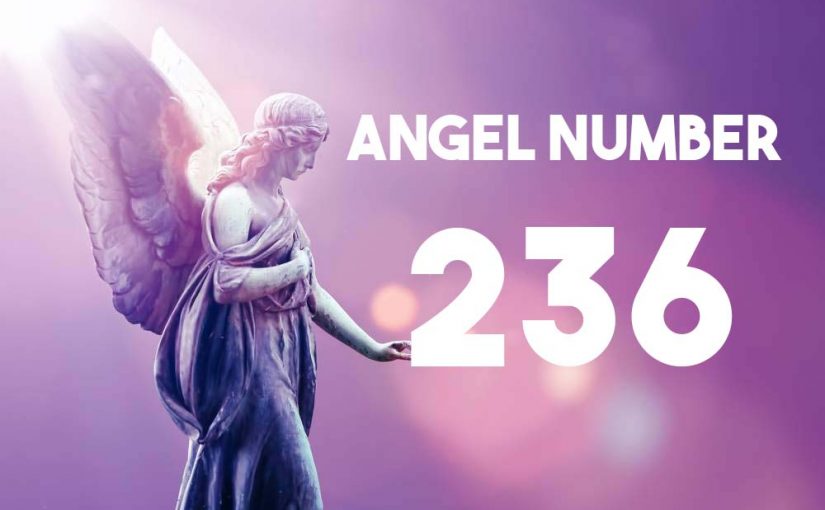 Angel Number 236