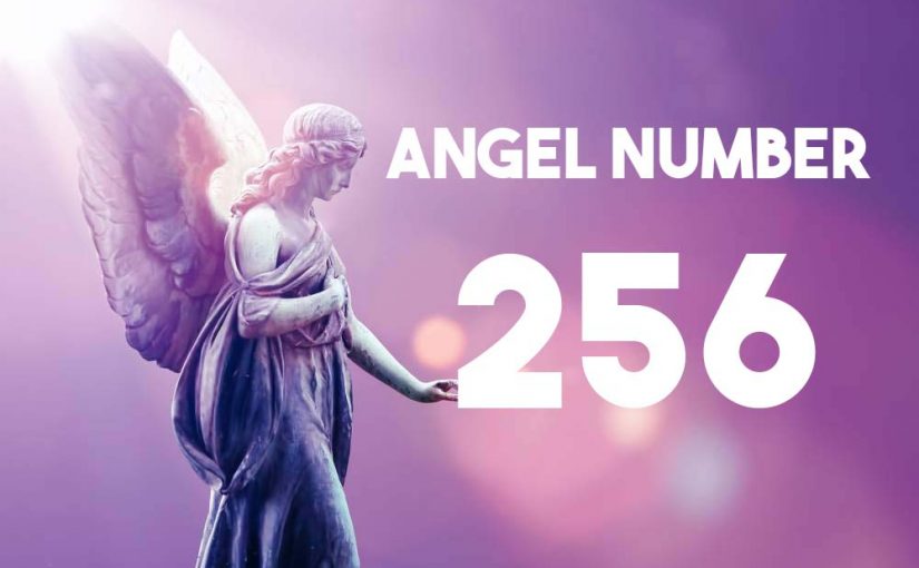 Angel Number 256