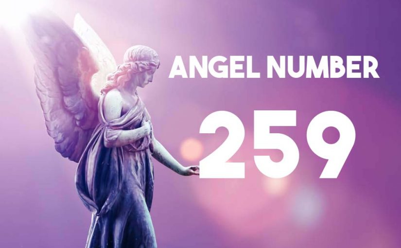Angel Number 259