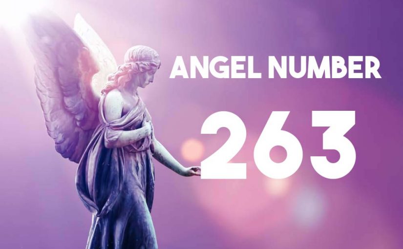 Angel Number 263
