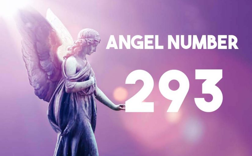 Angel Number 293