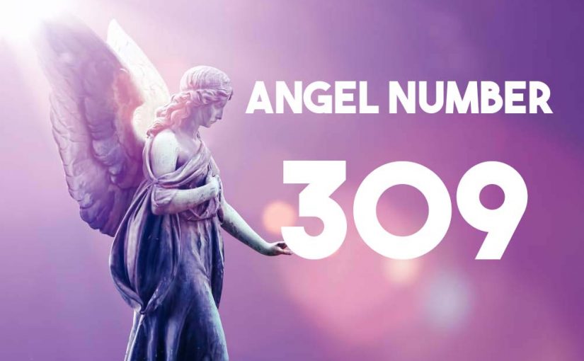 Angel Number 309