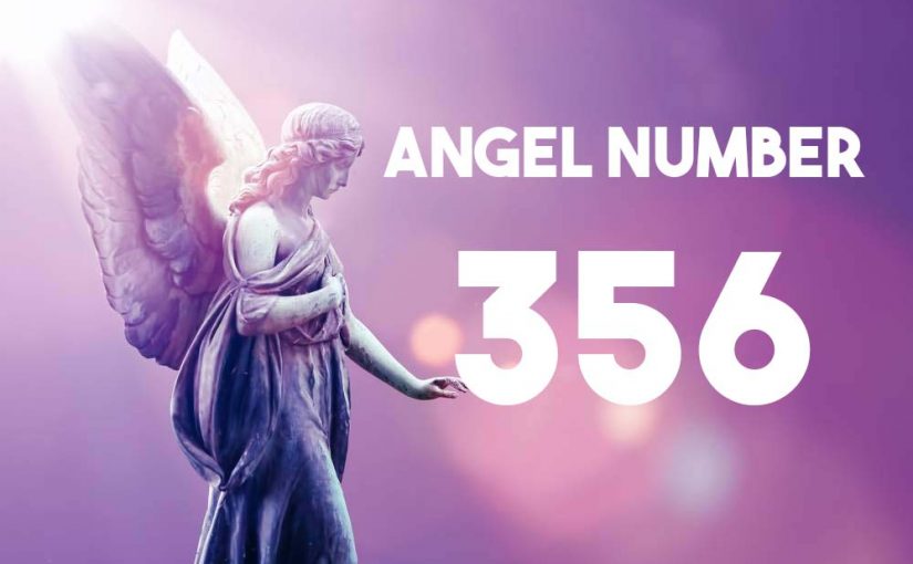 Angel Number 356