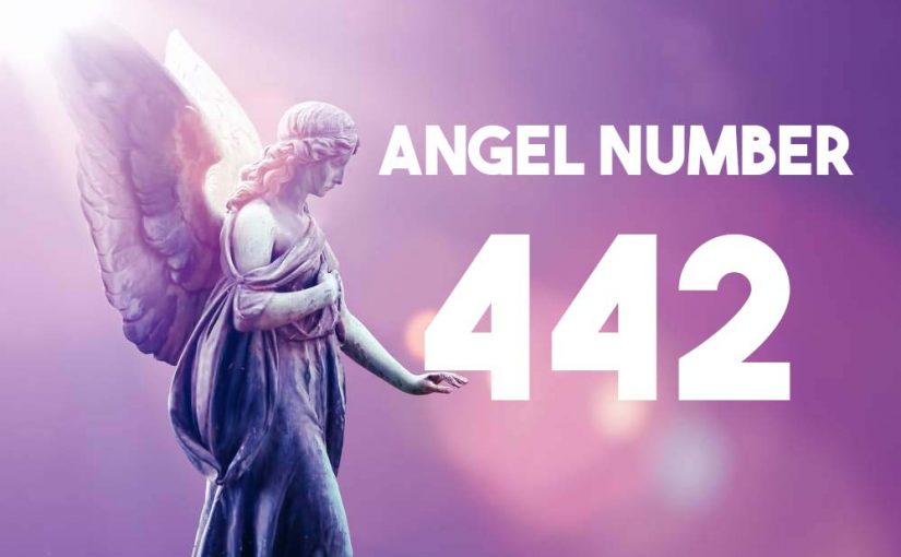 442AngelNumber