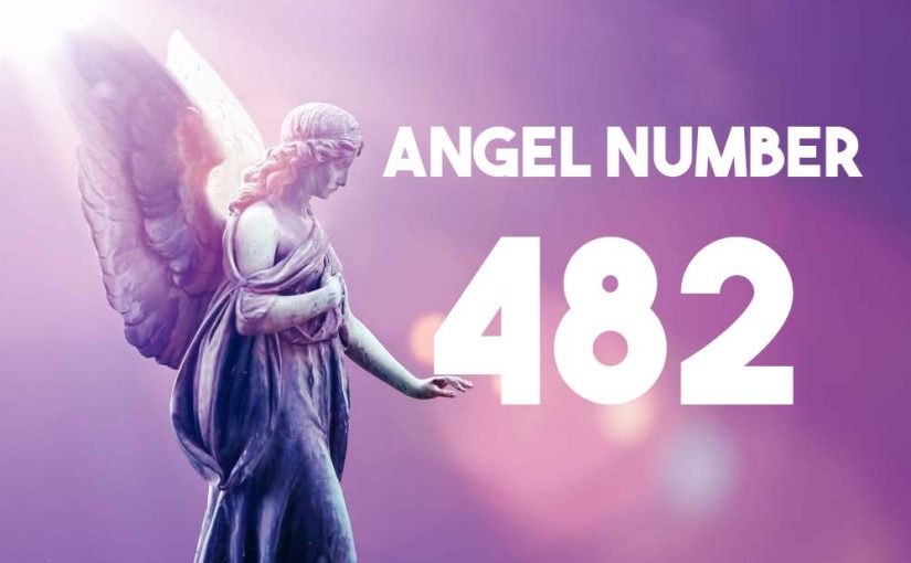 482AngelNumber