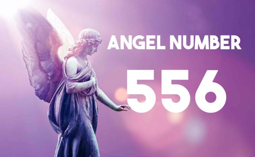556AngelNumber